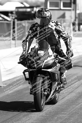 media/Feb-23-2025-2WTD (Sun) [[9604a77d5d]]/1-Around the Pits/
